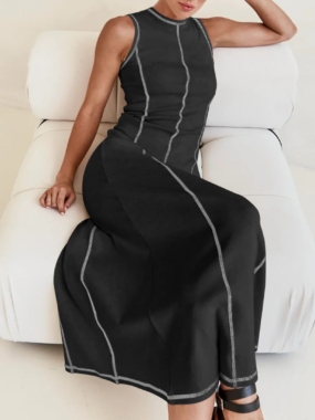 Maxi Sleeveless Color Paneled Dress