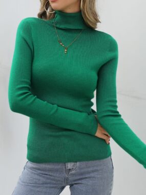 Slim Fit Elastic Solid Color Turtleneck