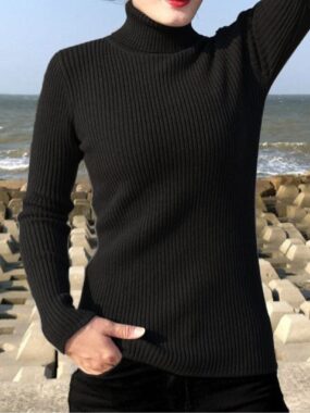 Cotton Turtleneck Slim Fit Knit Sweater