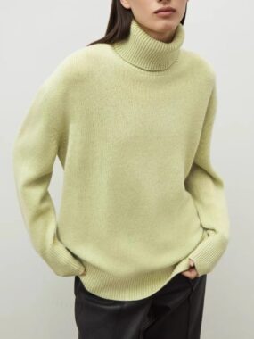 Minimalistic Solid Ribbed Knit Turtleneck  Sweater