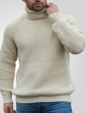Basic Solid Ribbed Turtleneck Sweater