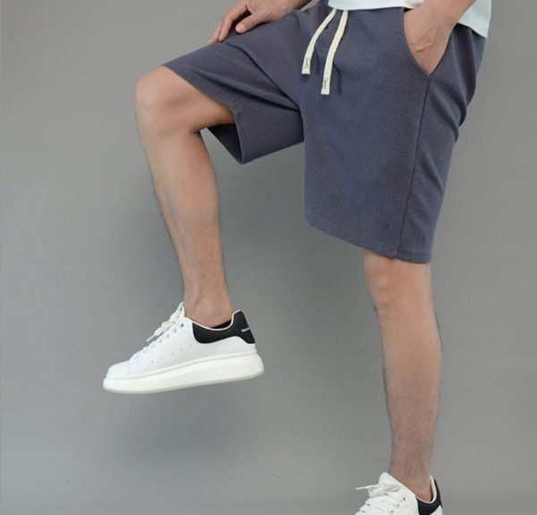 M566(8)