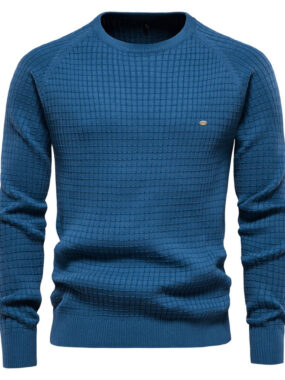 Patterned Crew Neck Sweater